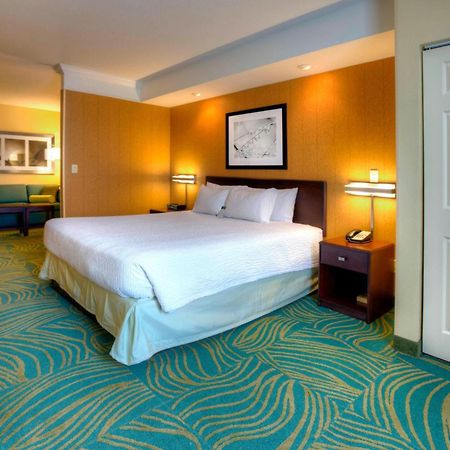 Springhill Suites By Marriott - Tampa Brandon Екстер'єр фото