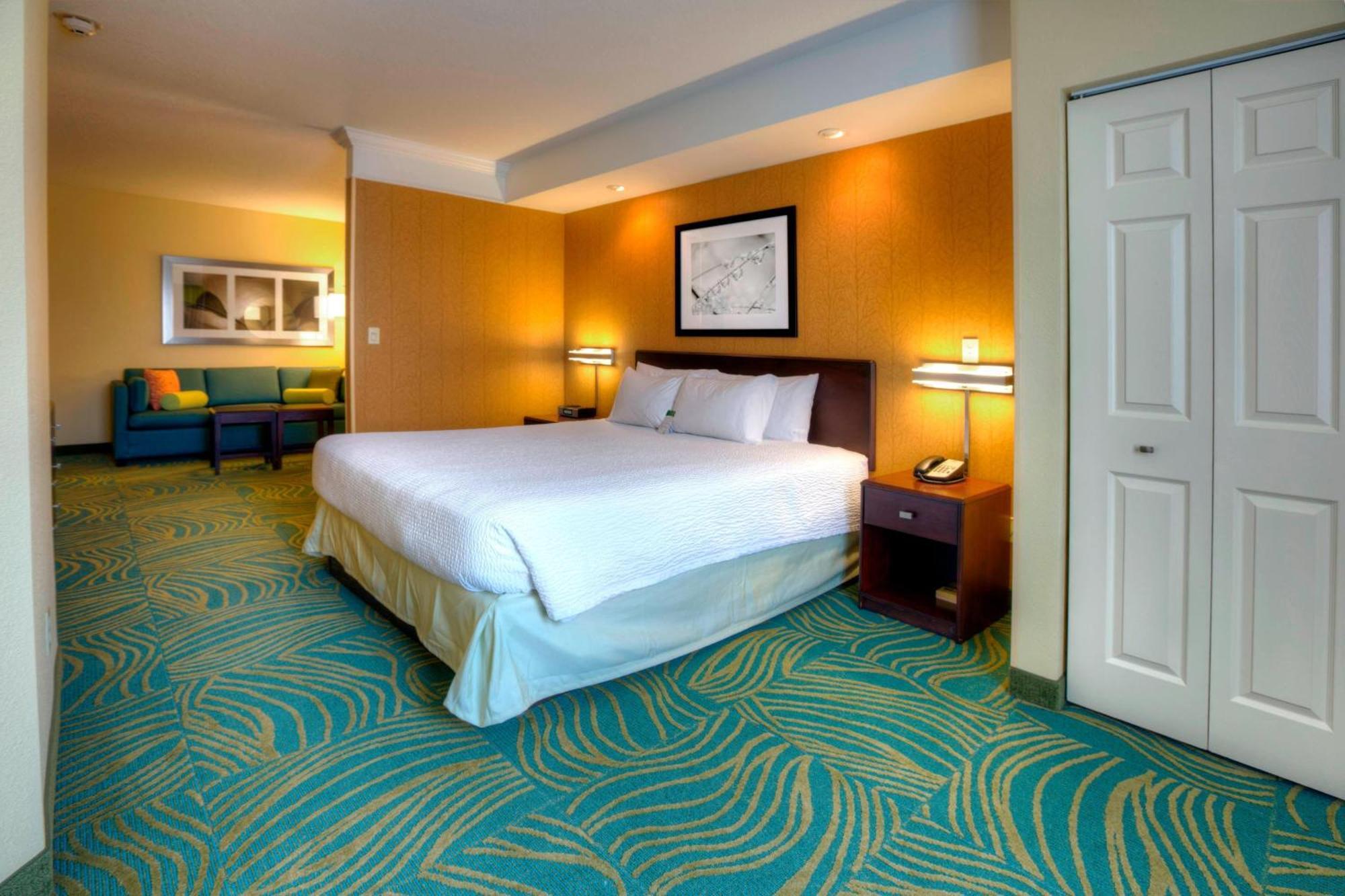 Springhill Suites By Marriott - Tampa Brandon Екстер'єр фото